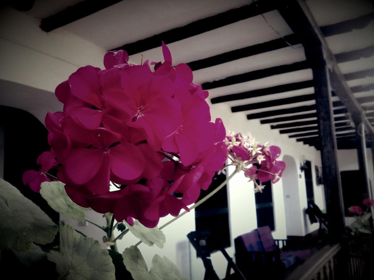 Fidelisima Hotel Chachapoyas Buitenkant foto